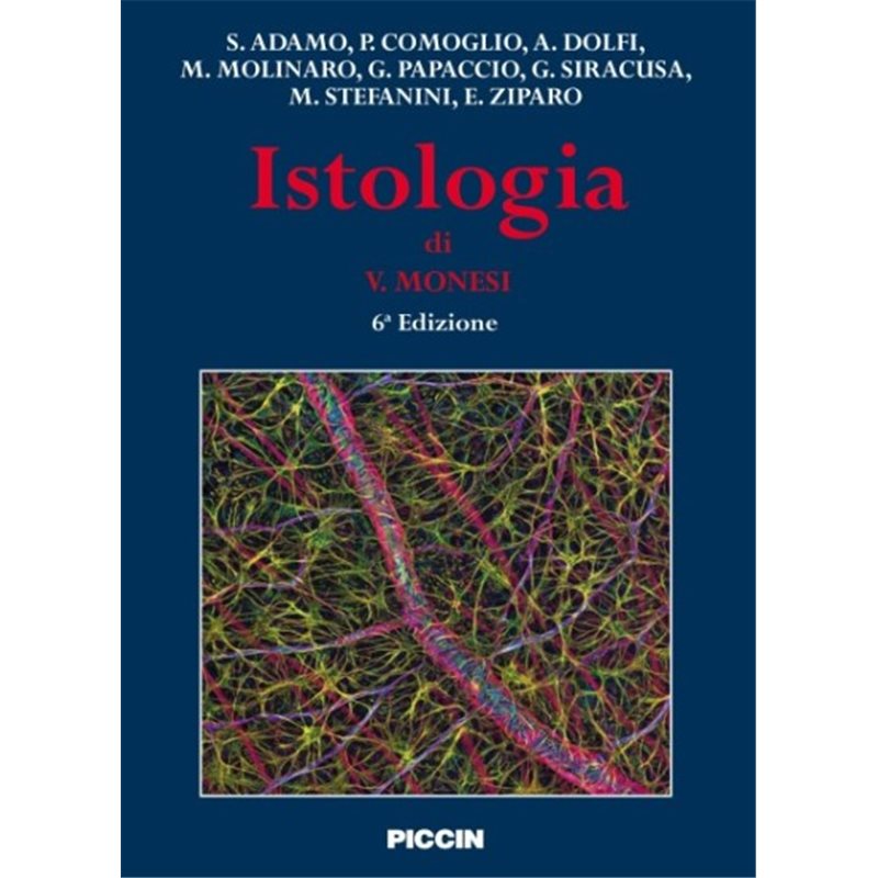 Manuale di chirurgia endovascolare -Edizione italiana a cura di A. M. Raso